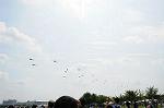 Dcim6472/DSC_4518