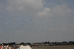 Dcim6472/DSC_4544