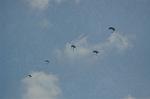Dcim6472/DSC_4549