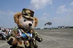 Dcim6472/DSC_4554