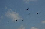 Dcim6473/DSC_4622