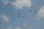 Dcim6473/DSC_4623