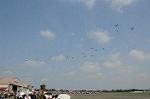 Dcim6473/DSC_4625