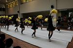 Dcim6477/DSC_5171