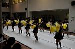 Dcim6477/DSC_5220