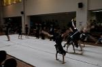 Dcim6477/DSC_5260