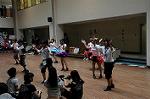 Dcim6478/DSC_5347