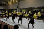 Dcim6479/DSC_5544