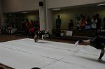 Dcim6480/DSC_5584