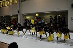 Dcim6480/DSC_5595
