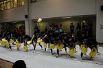Dcim6480/DSC_5596