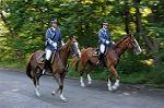 Dcim6489/DSC_6554