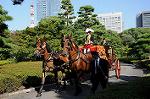 Dcim6489/DSC_6595