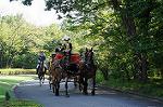 Dcim6489/DSC_6619