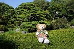 Dcim6490/DSC_6714