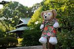 Dcim6490/DSC_6760