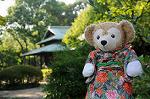 Dcim6490/DSC_6763