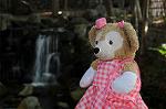 Dcim6502/DSC_7907