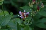 Dcim6508/DSC_0028