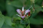 Dcim6508/DSC_0030