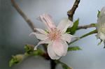 Dcim6508/DSC_0068