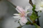 Dcim6508/DSC_0070