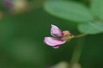 Dcim6508/DSC_0095