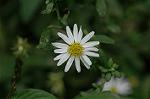 Dcim6508/DSC_0101