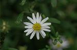 Dcim6508/DSC_0102