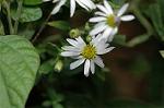 Dcim6508/DSC_0108