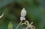 Dcim6509/DSC_0134