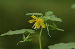 Dcim6509/DSC_0149