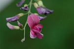 Dcim6509/DSC_0166