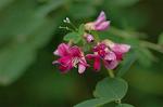 Dcim6509/DSC_0175