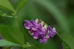 Dcim6509/DSC_0199