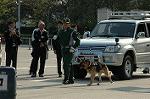 Dcim6511/DSC_0251
