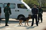 Dcim6511/DSC_0270