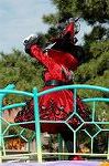 Dcim6518/DSC_0349