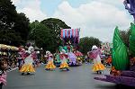 Dcim6521/DSC_9528