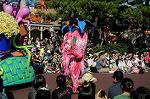 Dcim6524/DSC_9909