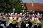 Dcim6525/DSC_0033