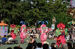 Dcim6525/DSC_0080