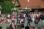 Dcim6525/DSC_0147