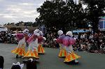 Dcim6527/DSC_0375