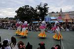 Dcim6527/DSC_0379