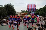 Dcim6527/DSC_0430