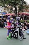Dcim6528/DSC_0554