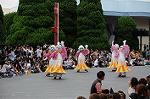 Dcim6528/DSC_0589