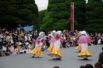 Dcim6528/DSC_0593