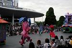 Dcim6529/DSC_0649